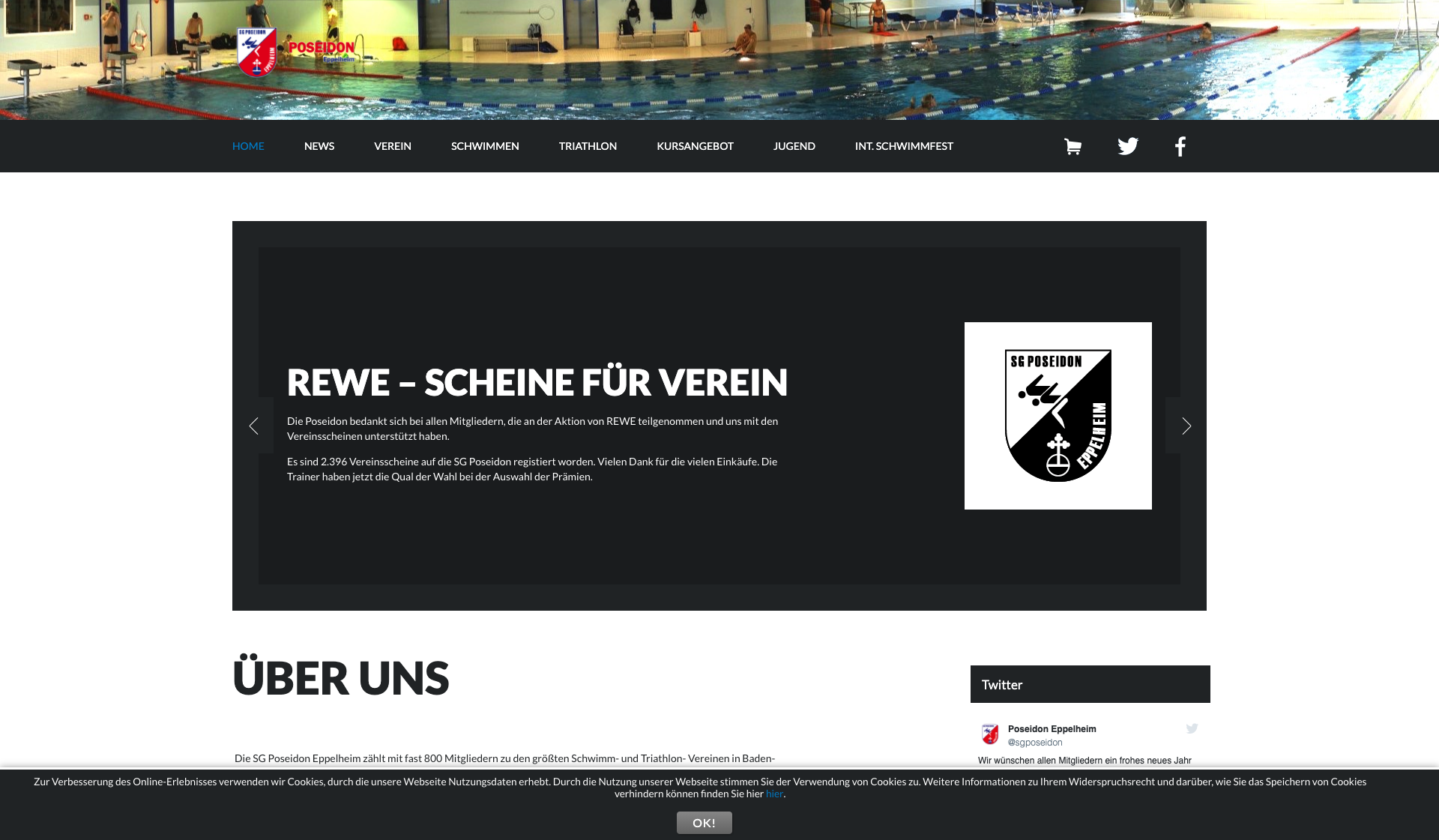 Eckdaten des Vereins SG Poseidon Eppelheim
