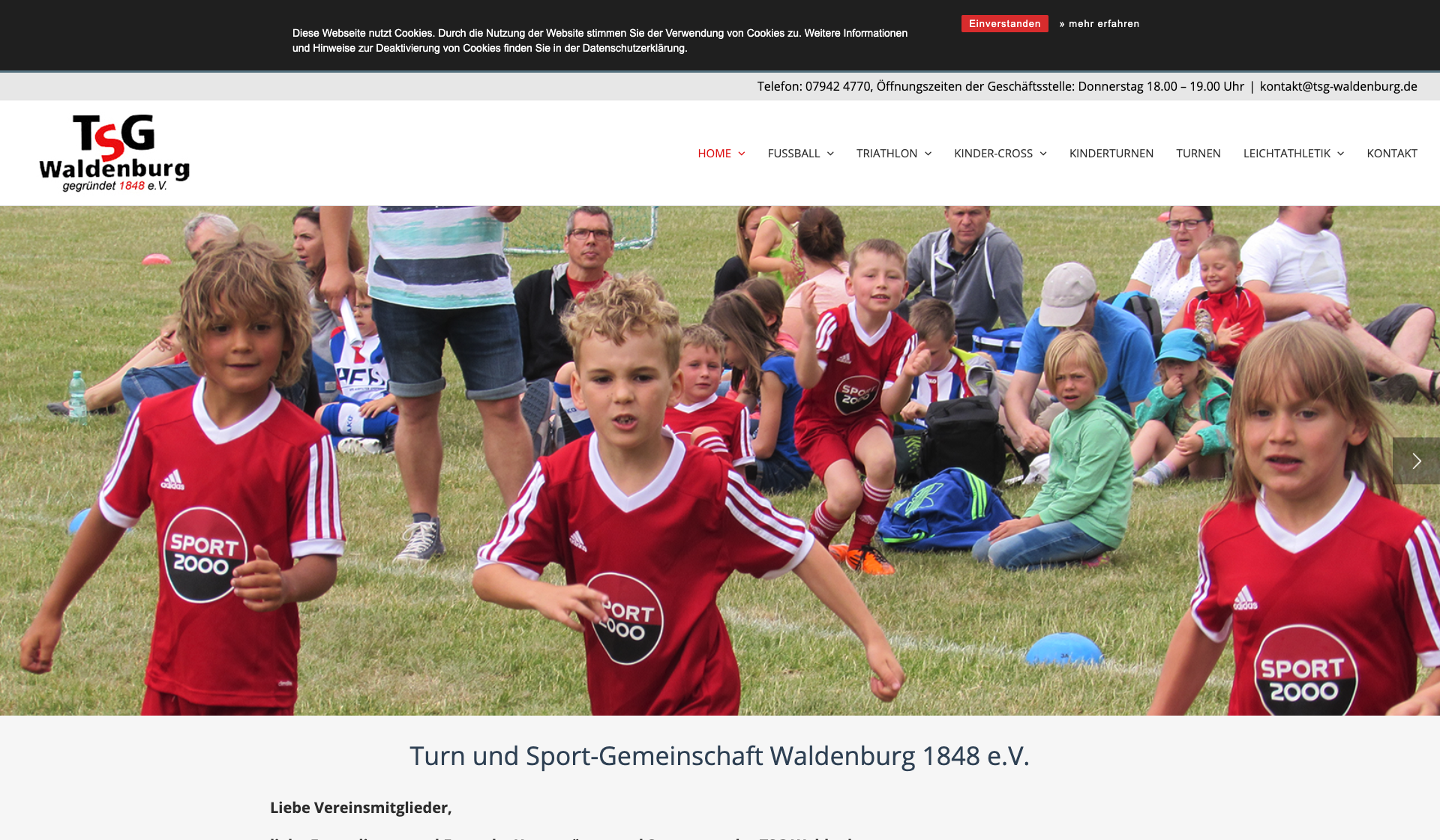 Eckdaten des Vereins TSG Waldenburg