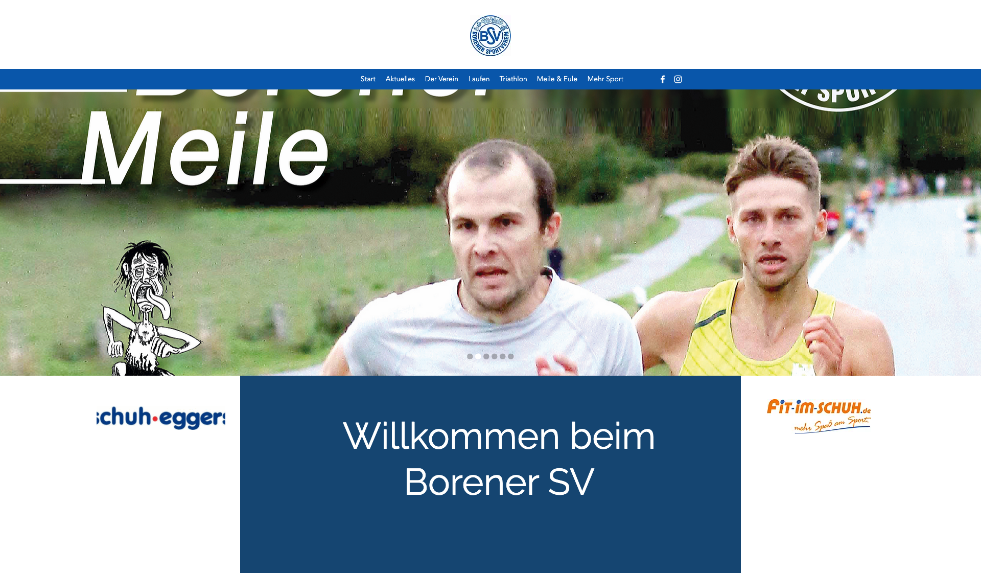 Eckdaten des Vereins Borener SV