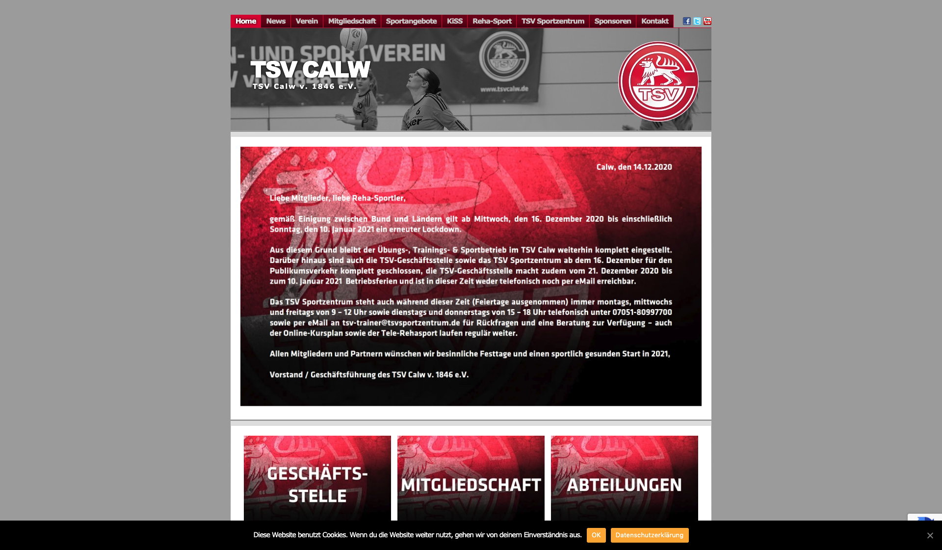 Eckdaten des Vereins TSV Calw