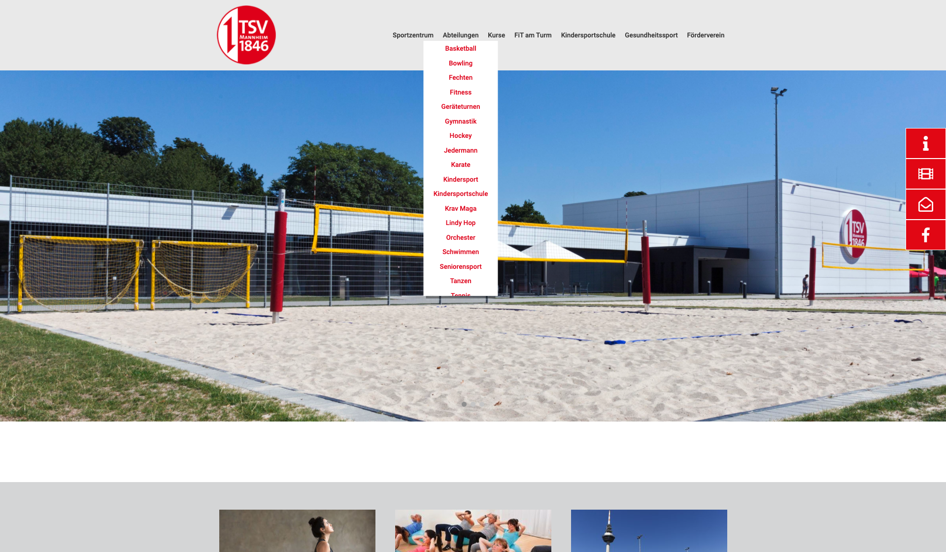 Eckdaten des Vereins TSV 1846 Mannheim