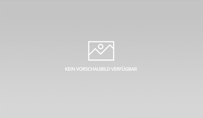 Eckdaten des Vereins Trifugee e. V.